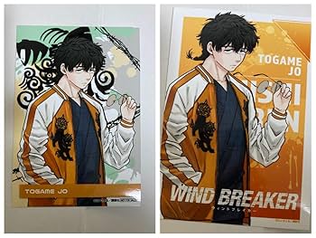 Amazon.co.jp: ウィンドブレーカー 十亀条 ブロマイド namco